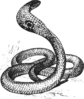 Angry Cobra Grayscale Clip Art